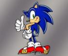 Σόνικ ο Σκατζόχοιρος, ο κύριος πρωταγωνιστής των βιντεοπαιχνιδιών Sonic από Sega